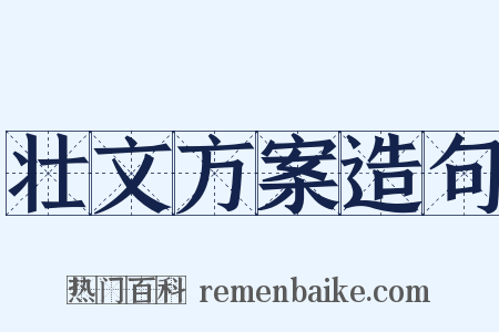 壮文方案造句是什么意思的图片